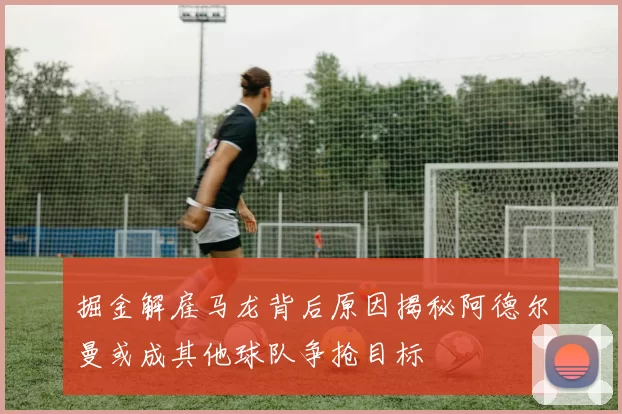 掘金解雇马龙背后原因揭秘阿德尔曼或成其他球队争抢目标