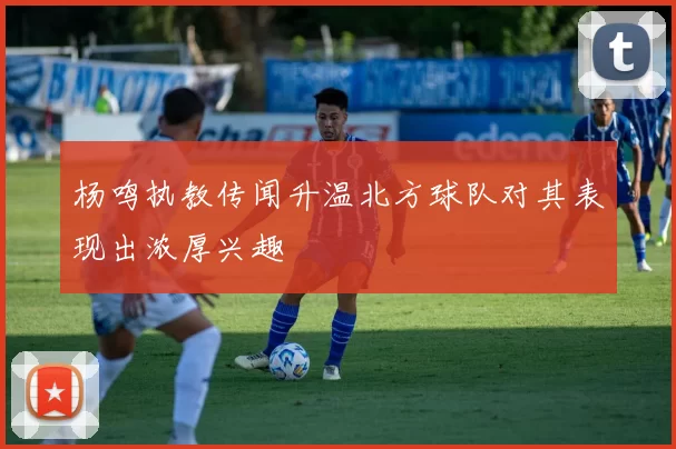 杨鸣执教传闻升温北方球队对其表现出浓厚兴趣