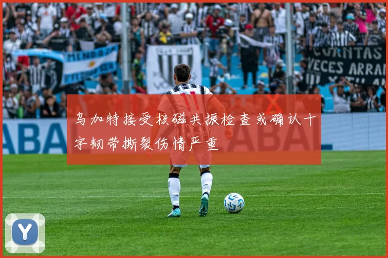乌加特接受核磁共振检查或确认十字韧带撕裂伤情严重
